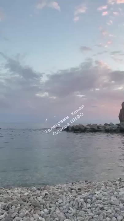 ���� �� �������: ����� ����� �� ������� � ���������� �������� ����� �����