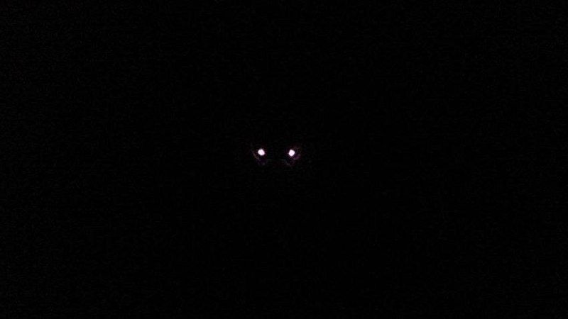 ��������� ���������: ���������� ���� ������� �� ����� #������_��_���������� �� ������� (�������!) ���� ���������� ������ � ����