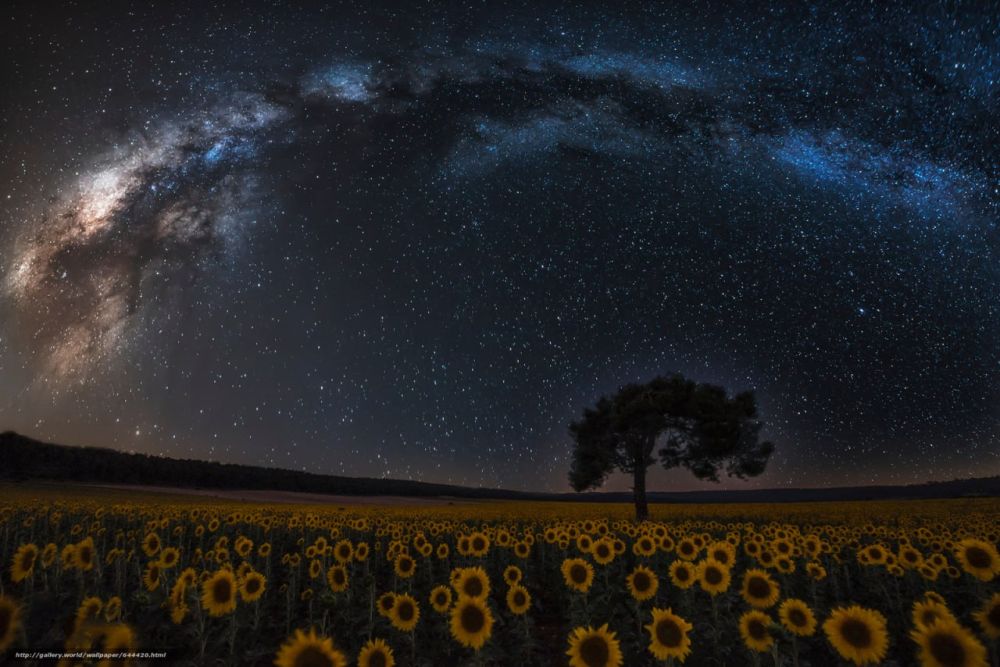 ��������� ���� �������������� �� ������!