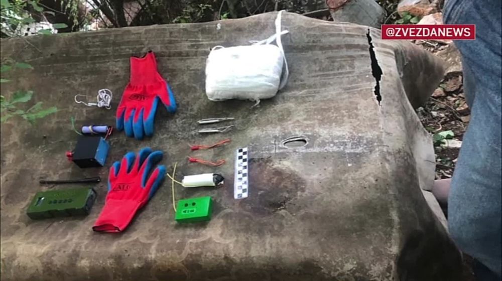 ��� ��������� �������������� ������������ ������� ����������, ������������ � ���� ������ ����������� � �����