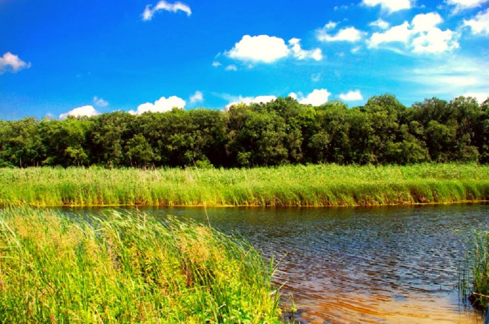 ����� ��� ���� ���������� ������ ��������!