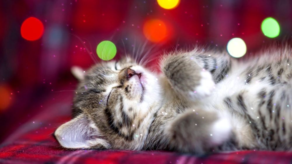 ��������� ���� �������������� �� ������!