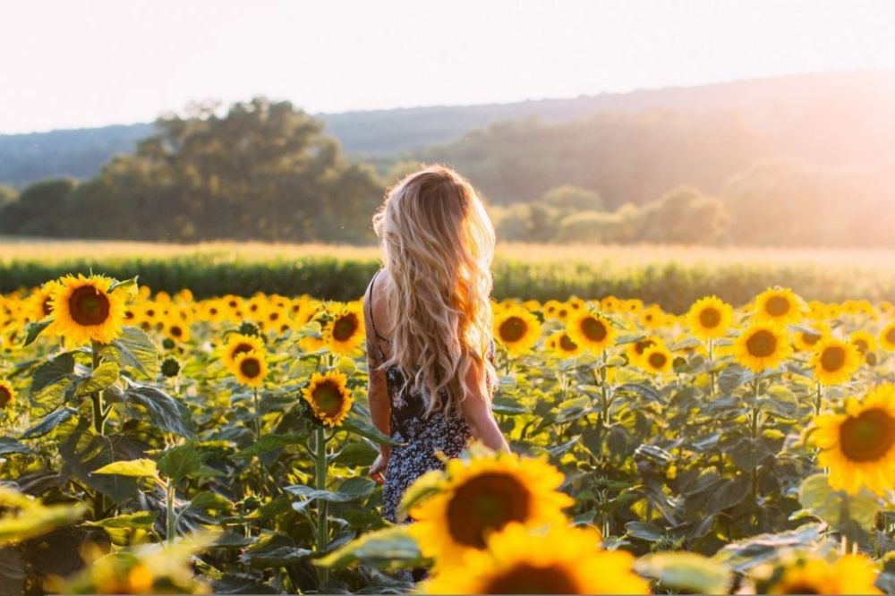 ���������� �������� ������� ���������� ����������