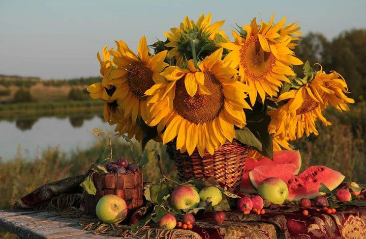 � ����� ��������� �������