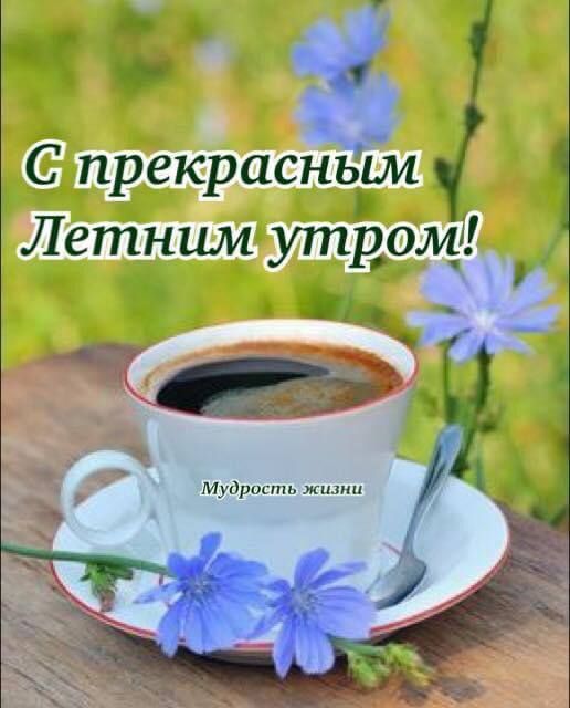 ����� ���� ����� ������� � ����������