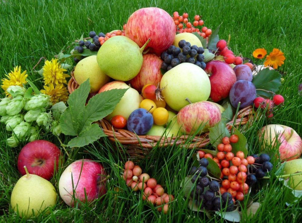 ����� ���� ����� ������� � ����������