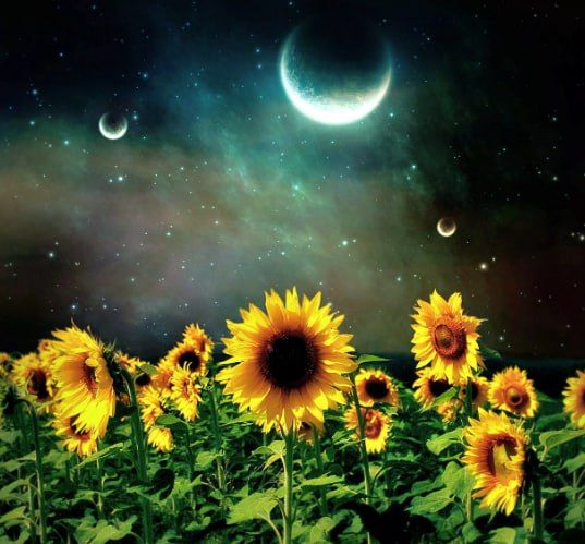 ��������� ���� �������������� �� ������!