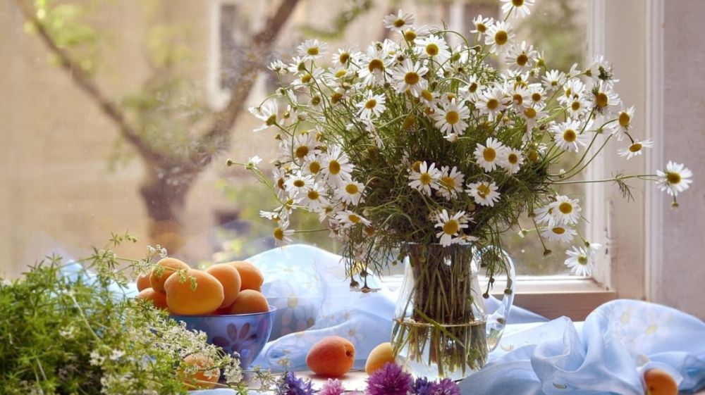 ���� ����������� �����������