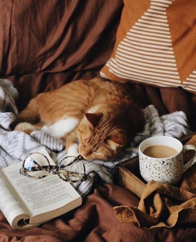 ��������� ���� �������������� �� ������!