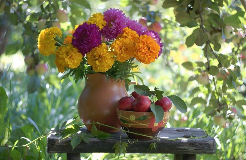 ���������� ����� � ����� ������ ����� ���������� ����������!