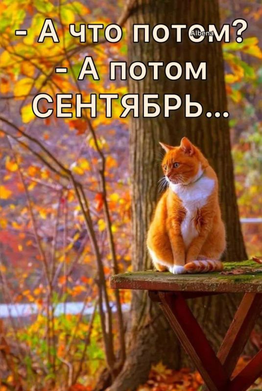 ���������� �������. ������ ���� ������! �������� ��� � ����������! ���������������� �������: