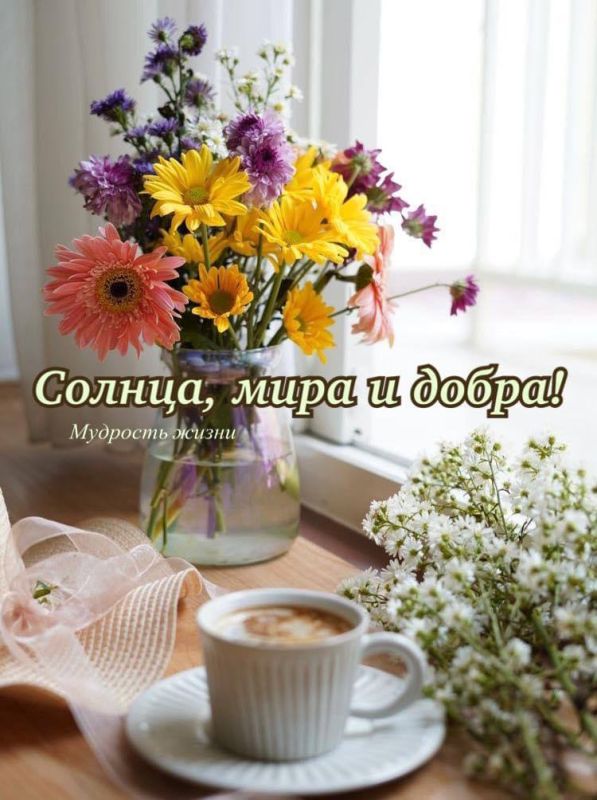 ���� ��� ������ �����. ����� ��������, �������� � ������ �������� �����