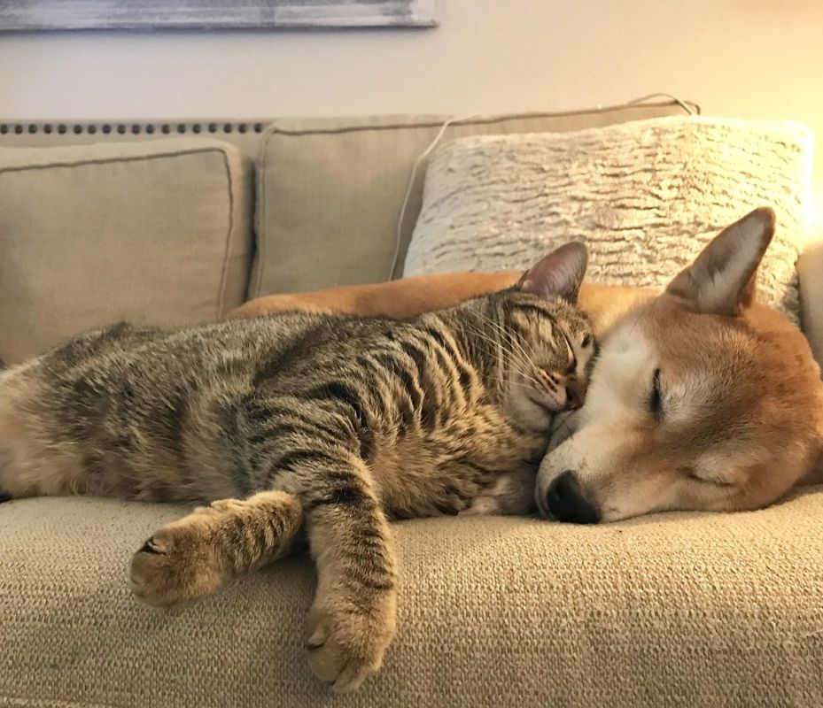 ��������� ���� �������������� �� ������!