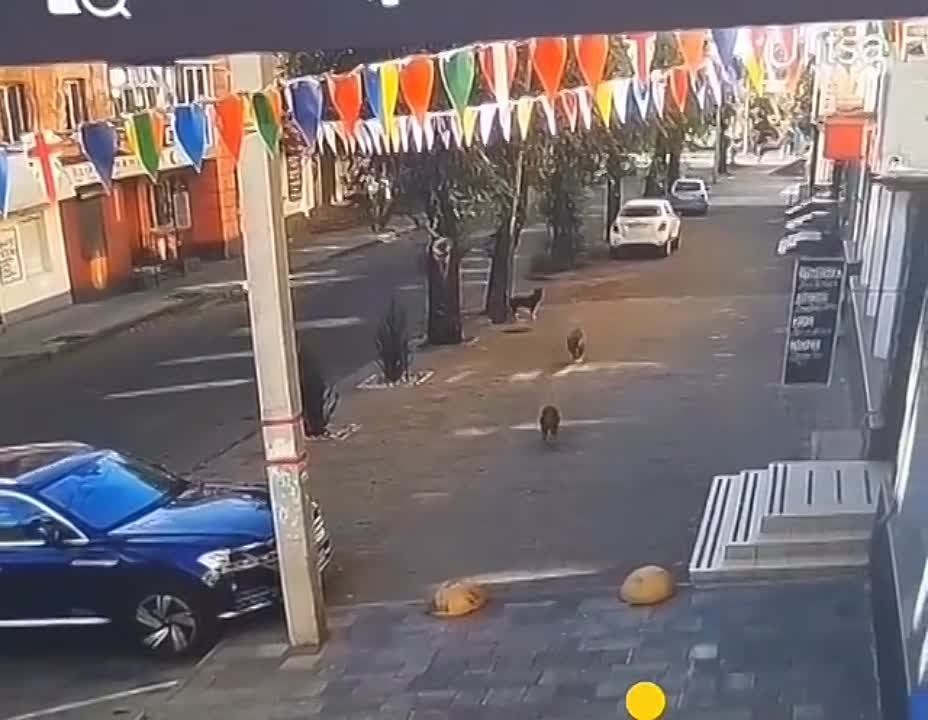 ������, ��� ������������, ����� ���������� ������ �� ������������ ������� � ������ ���� ���������������� �������