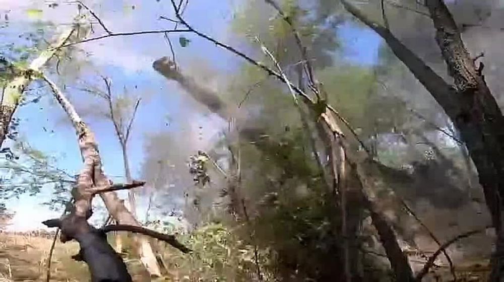 �� �������� � ����-�������� ������������ ������ ������������ ������������ ���