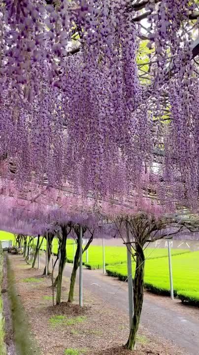 ���������� �������� ������� ���������� ����������