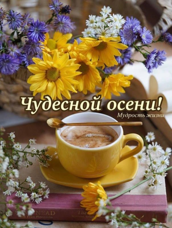 ���������� �������� ������� ���������� ����������