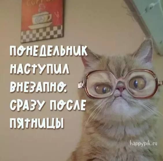 ������ ����, ������!. � �������� ��������: �� �� ������� ���� ��������� �������� � �������-��������� �������� �� ���� ����� �� ������� � � �����������, ���������������� � �������� ��������