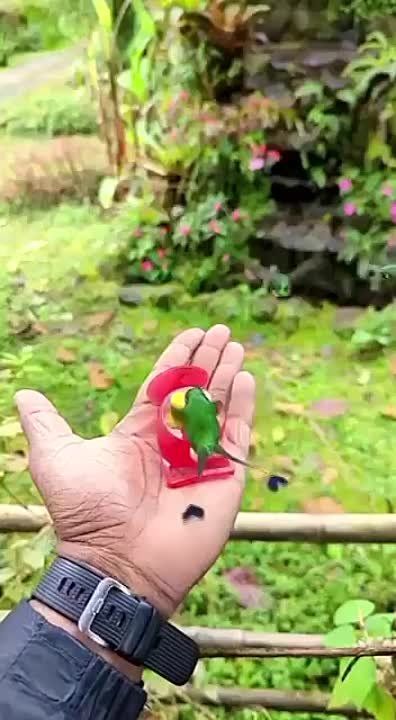 � ���� � ��� � ����� ��������� ���������� ���������������� �� ���������� �����, �������� ��������� ������� �����