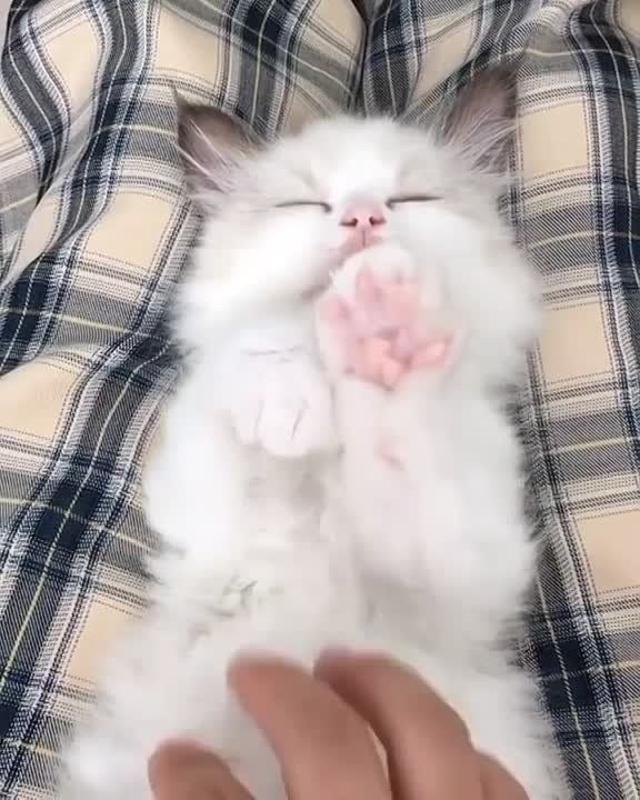 ��������� ���� �������������� �� ������! �������������� ����