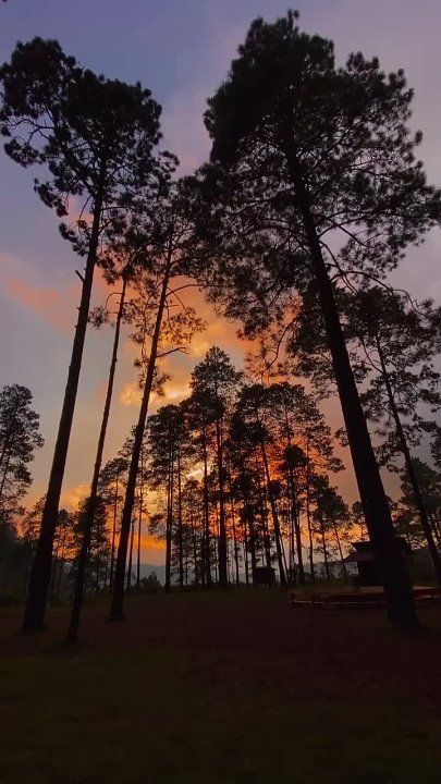 ��������� ���� �������������� �� ������!