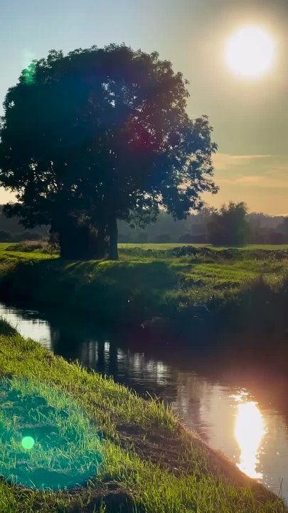 ����� ���� ��������� ���������� ����� �����, � ������ �������� ���� ��� ����