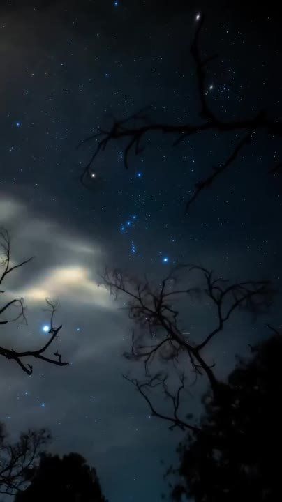 �����, ������, ���� � ������ � ������ ������������� ���� �������������� �� ������!