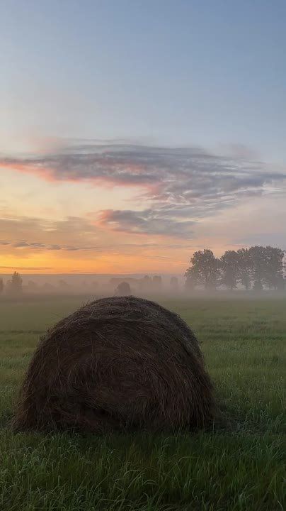 ������� �����������. �� ��� ����� ����� ���� � ����� ������. � � ���� ������� ����� ����������� ��� ����-�� ����������