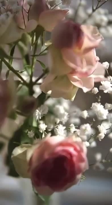 � ����� ������, ����� �� ���� ����� �����