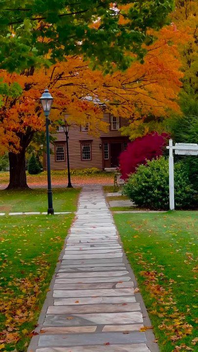 ������� ������� ���������� ��� � ���, ��� ����� � ��� ���������� ����� ������, ��� ������ �� ��� ���������� ������ � ��������