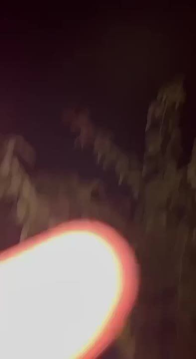 ���� ����: ������� ����� ������ �������� ����� �� �������� ��� � ��������� (��������� ���), ��������� ����� ���������� �� ��������� ����������