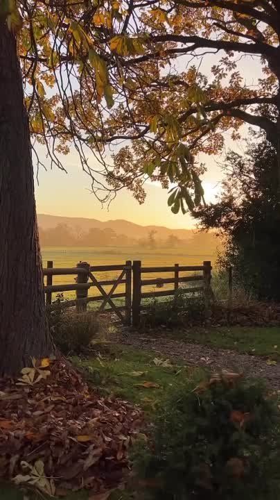 ������ ��������� � ���� ������