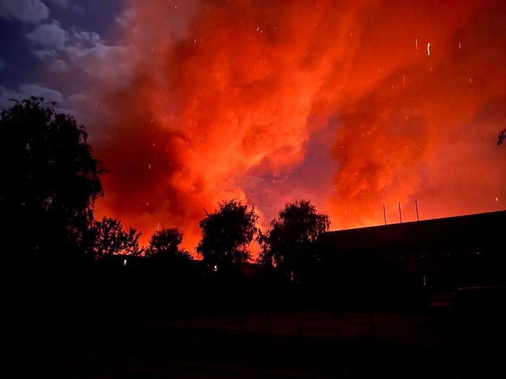 ��������� �������: ����� 5 �������� � �����. ����� 3 � �����������, ��������� � ���������������� �������� (������ ���)