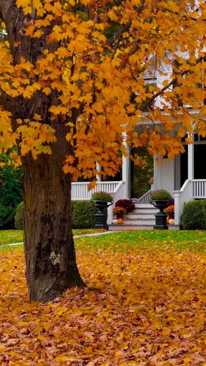 ������ ��������, ��� ����� �����