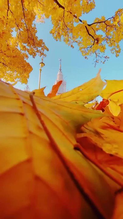 �� ������� �� ������� ���� ���������, ���� ��� �� ������ �������������