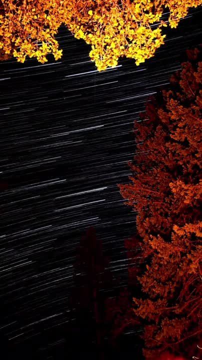 ��������� ���� �������������� �� ������!