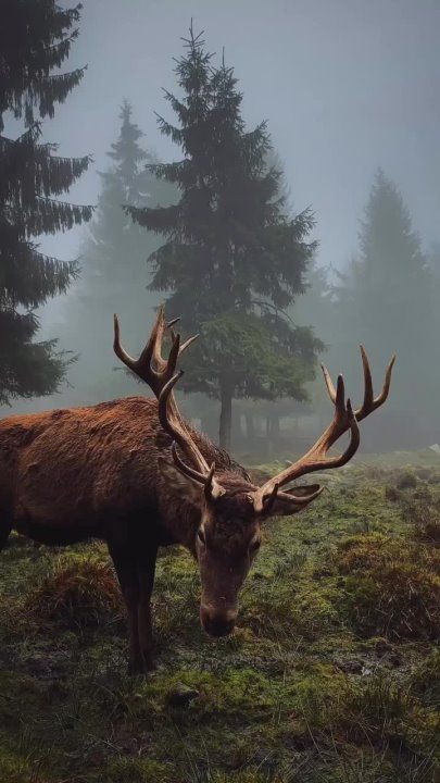 ��������� ���� �������������� �� ������!