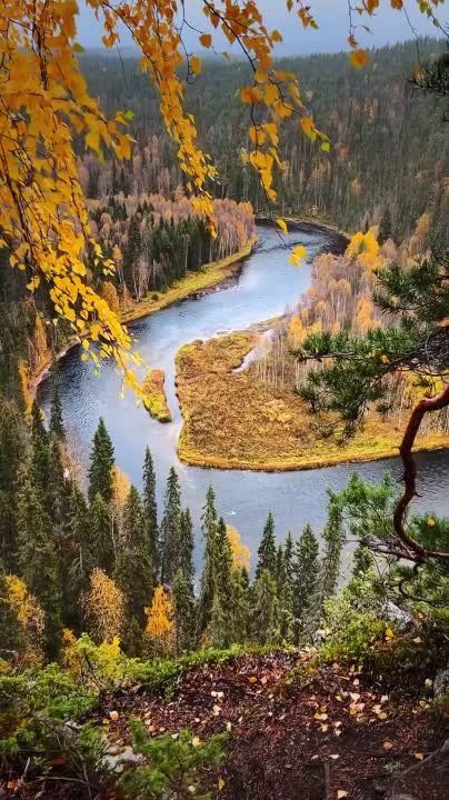 ������� ������������.. �� ������ ���� ������