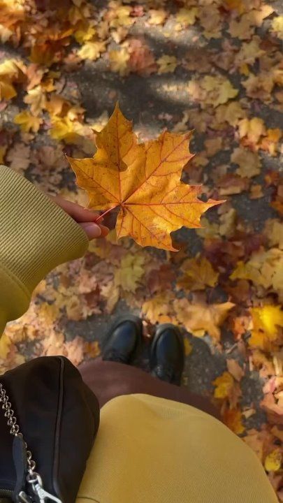 ������ �������� ���� � ������ � ��� ����������