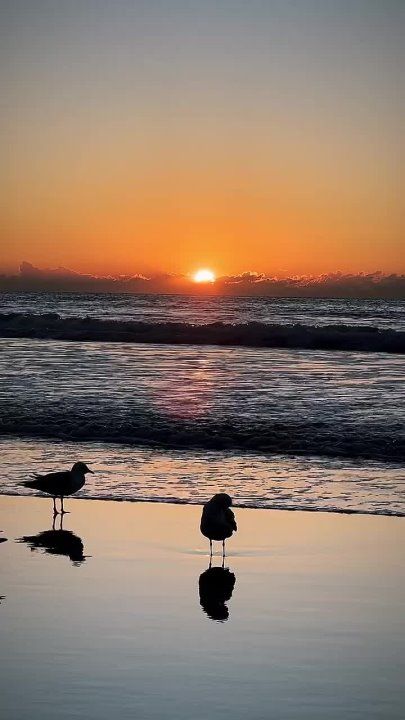 ��������� ���� �������������� �� ������!