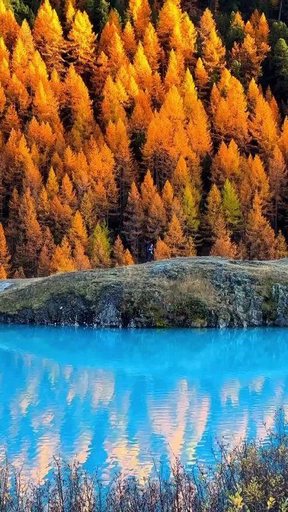 ���� ��� ����������, ������� �� ������ ������� � ����