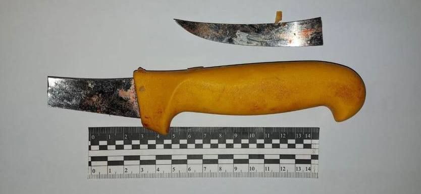 � ���������������� ������� ���������� ���� � �������� ���������� 85-������� �������