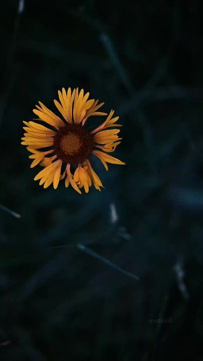 ��������� ���� �������������� �� ������!