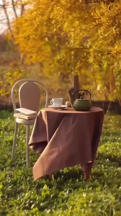 ������ ���� ������� ��� ���� ����� ����� ���������� � ����� �����