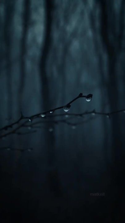 ��������� ���� �������������� �� ������!