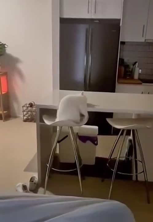 ��������� ���� �������������� �� ������!