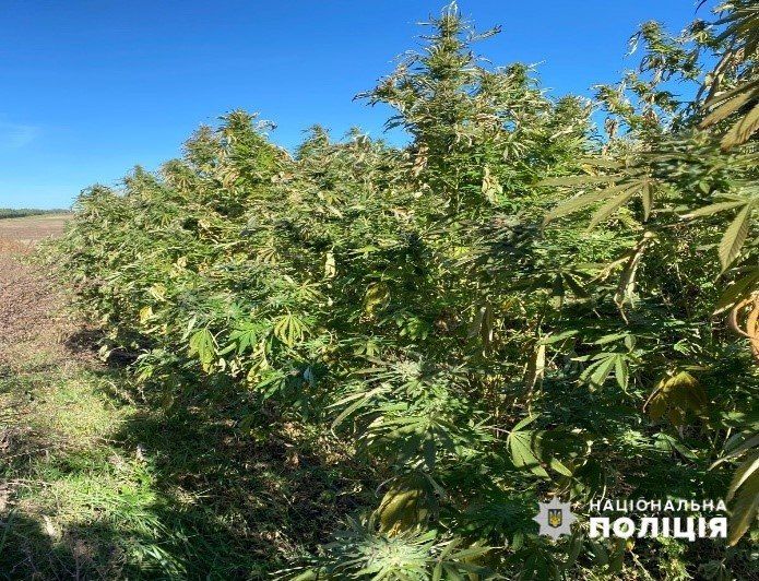 12 ������� � ������� �������� ������ ����, ��� � ����� �� �������� � ������������� ������ ������� ���������� �� ����� ������� �������� �������