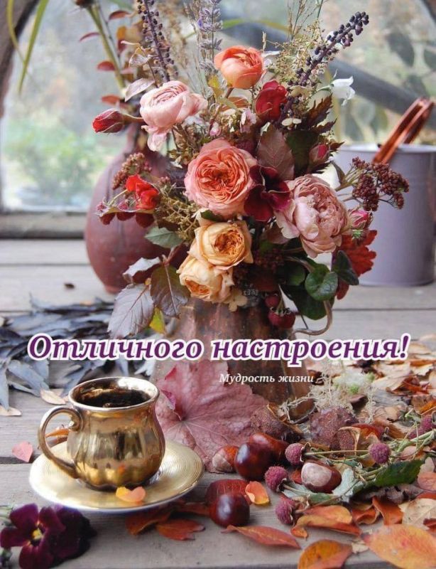 ������ �������� ��������, � ����� ����������� � ����� �����