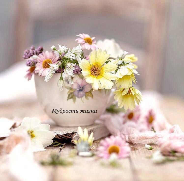 ������� ��� ������ � ����