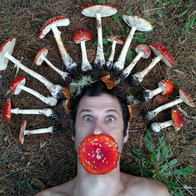 � �������� �������������� ������ ���������������� ������� � ������ ��������� ������ ���������� ���������